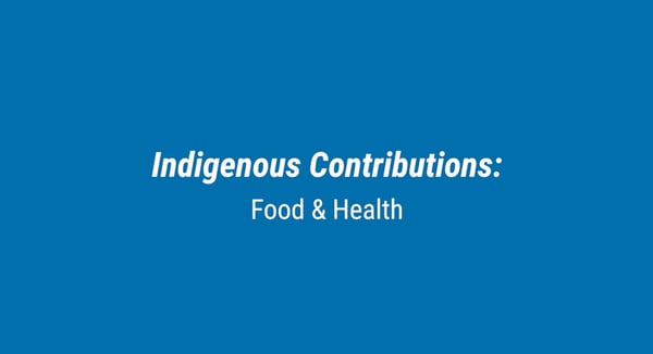 indigenous food contributions