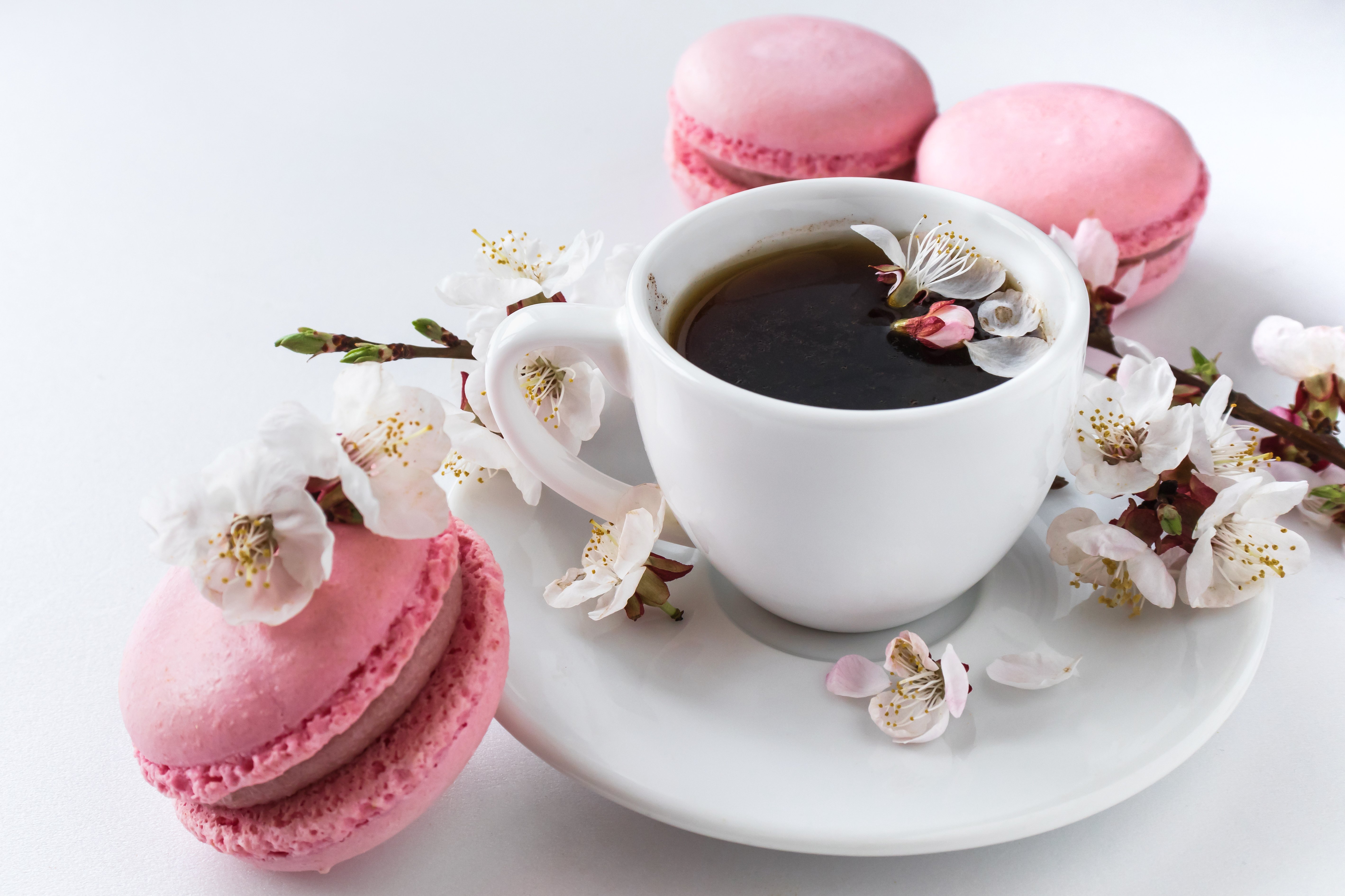 cherry blossom tea and sweets
