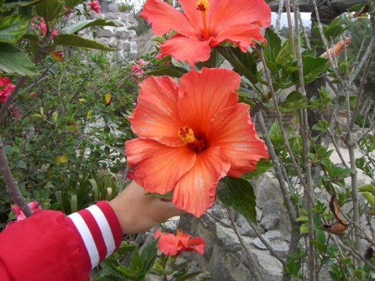 Get to Know Educational Travel: Lava Tunnels in the Galapagos Islands