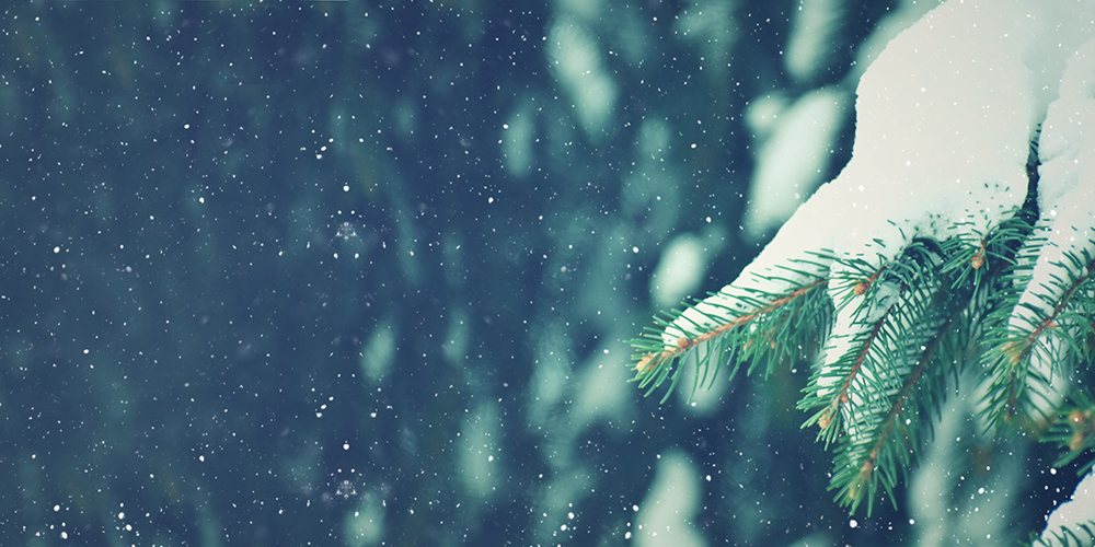 5 Lesson Plans Inspired by the Holidays featured image