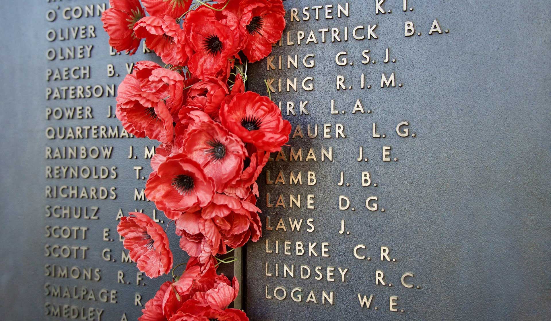 5 Educational Resources For Remembrance Day featured image
